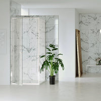 Pivot Shower Doors