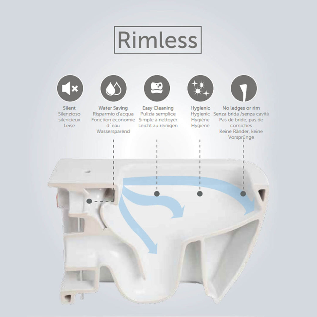 RAK Ceramics Feeling Rimless Wall Hung Toilet & Seat In Matt White