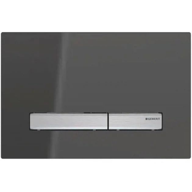 Geberit Sigma 50 Smoked Reflective Glass Flush Plate